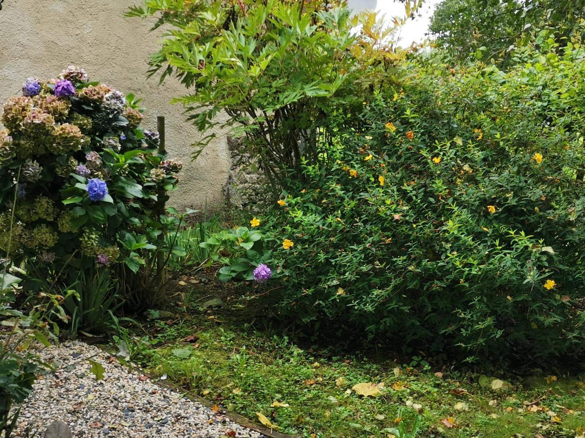 Les Brassins Du Dillon Villa Moyon Екстериор снимка